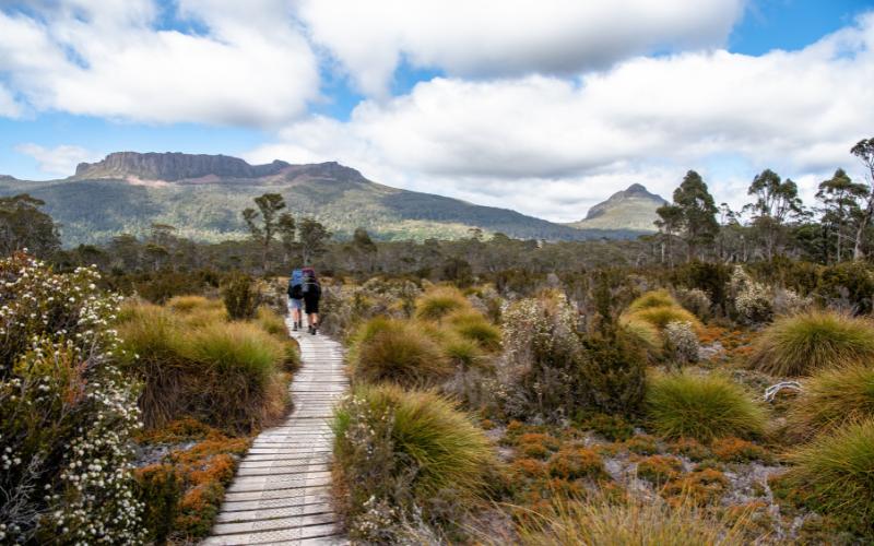 Paysage montagnes avec chemin en bois, personnes qui randonnent